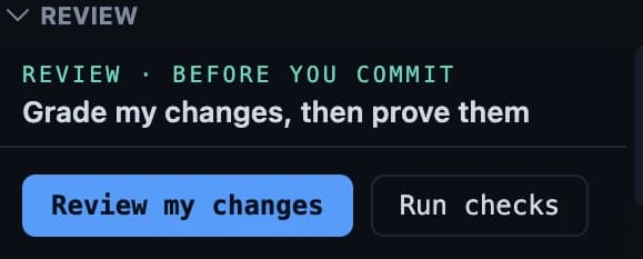The Review section, headed Before you commit, with Review my changes and Run checks buttons